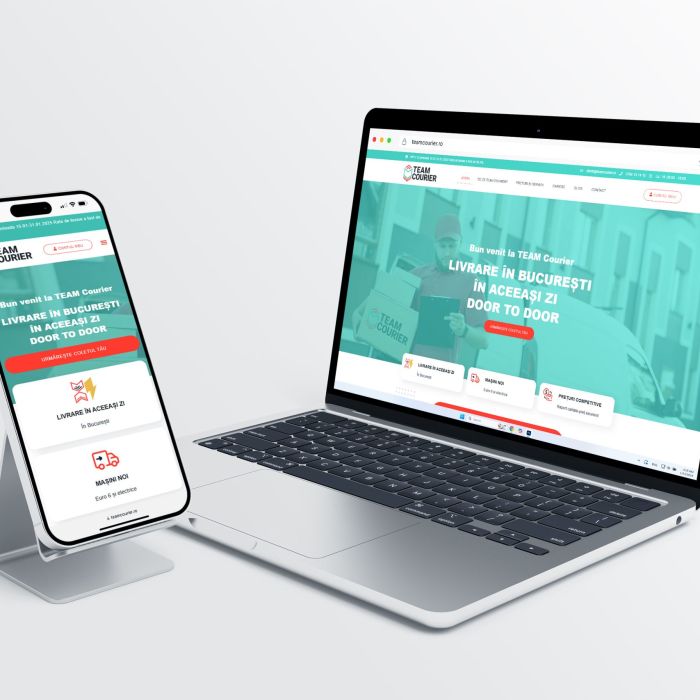 Servicii de Email Marketing 22 teamcourier.ro