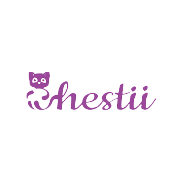 magazin chestii